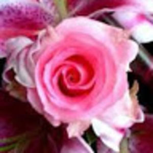 Meet your Posher, Denice